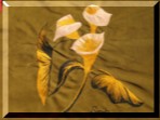 Craft banner #1