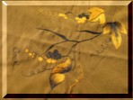 Craft banner #2