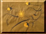 Craft banner #3
